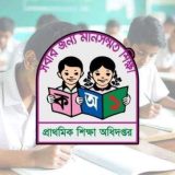 প্রাথমিক বৃত্তির ফল ফাঁসের অভিযোগে কর্মকর্তা বরখাস্ত